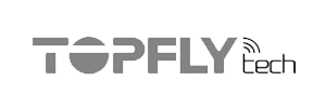 Topfly